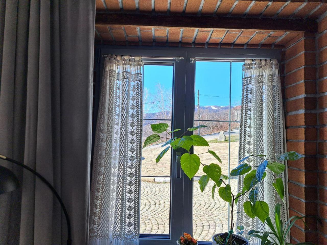 Gnezdo Studio Apart شيبكا المظهر الخارجي الصورة